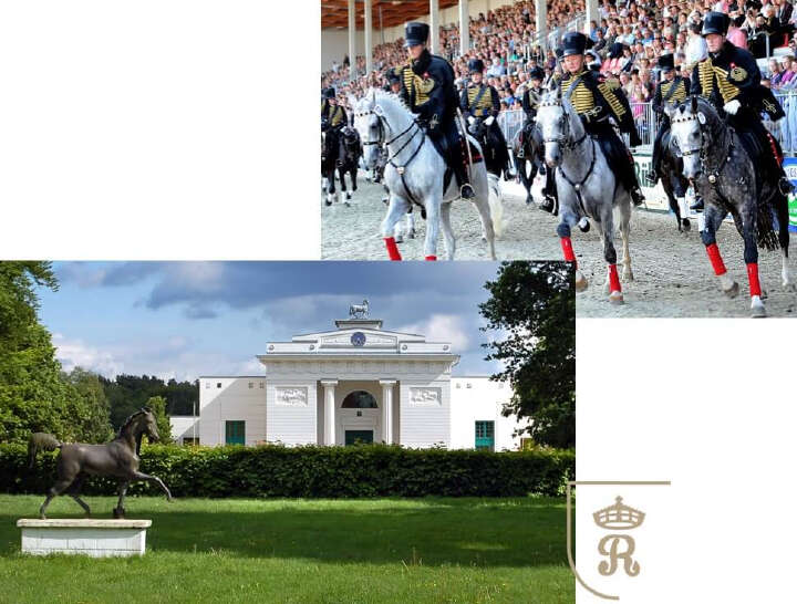 landgestuet marbach derby community teaserbild